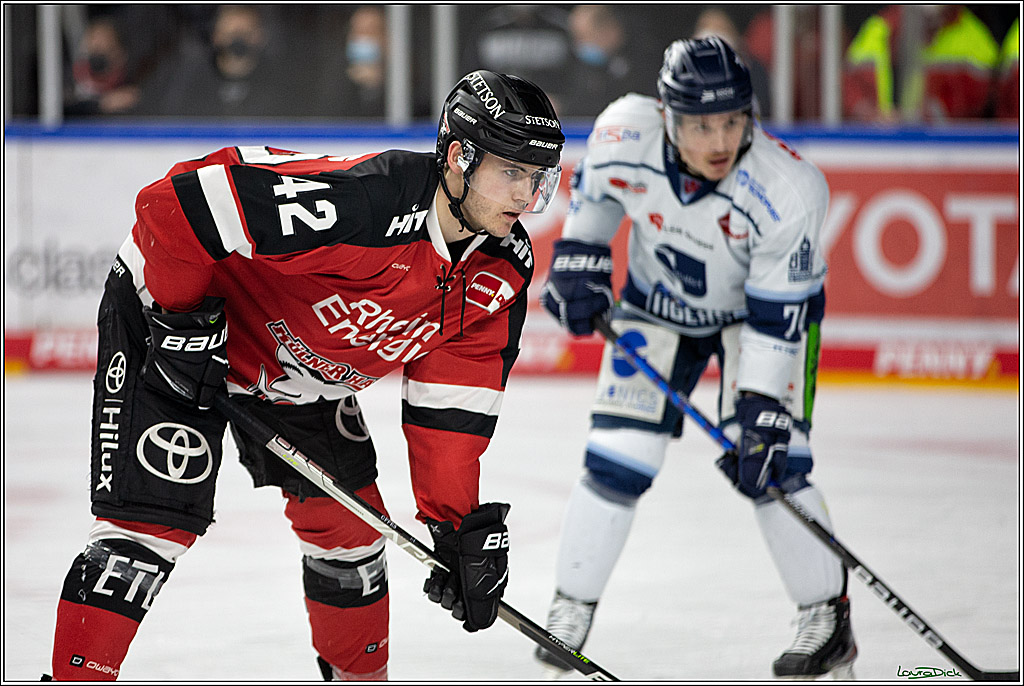 PENNY DEL;  Koelner Haie - Straubing Tigers; Koeln, 11.03.2022